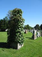 Chicago Ghost Hunters Group investigates Calvary Cemetery (118).JPG